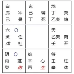奇门遁甲预测：小猫能否找到？　　