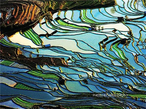 论奇门遁甲中的五行生克关系