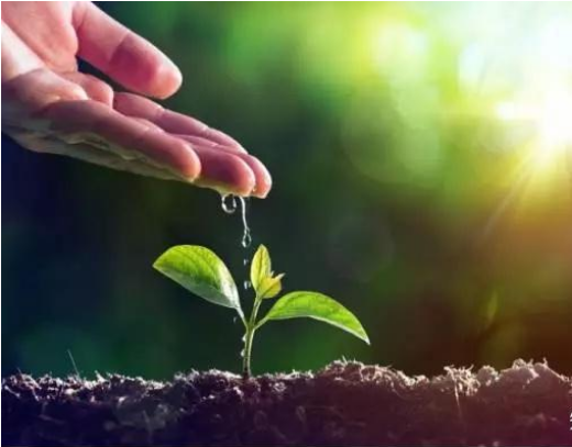 奇门遁甲揭秘：宫位旺衰如何影响事业健康与人际的微妙力量