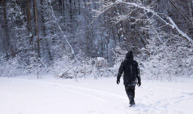 东北寒冬迷失大山，奇门遁甲占卜指引归途，一场惊心动魄的探险之...