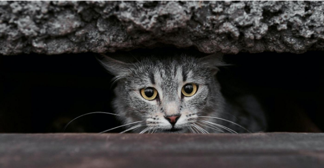 利用奇门遁甲中的“人假”，来寻找欠债人，效果还不错