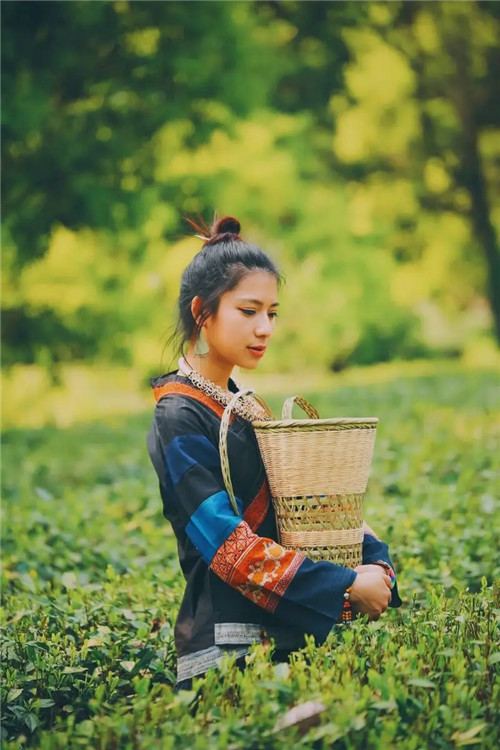 奇 门 小 六 壬 道 法-小六壬基础与技法1