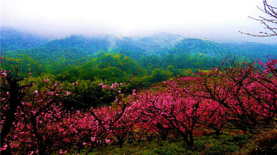 六壬神煞——季煞　