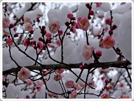 毕法赋精注详解1