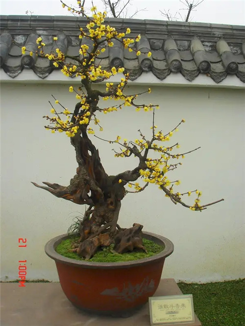 我用奇门测了刚找到的穴将来葬后将怎么样