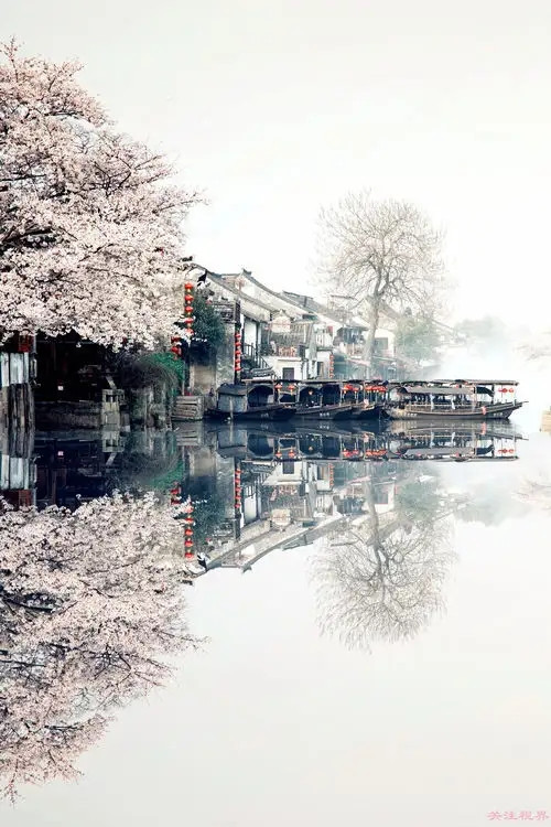 大六壬中介占 关于“中介”的类象