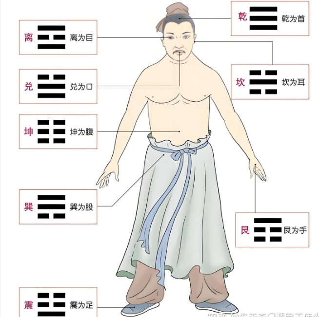 先天奇门卦象学：先天八卦对应人体部位，先天八卦对应经络