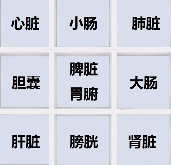 奇门遁甲基础知识，五脏五腑双链条